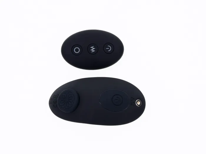 Sportsheets Female Sex Toys Hidden Pocket Strap on With Remote Control Vibrator Black